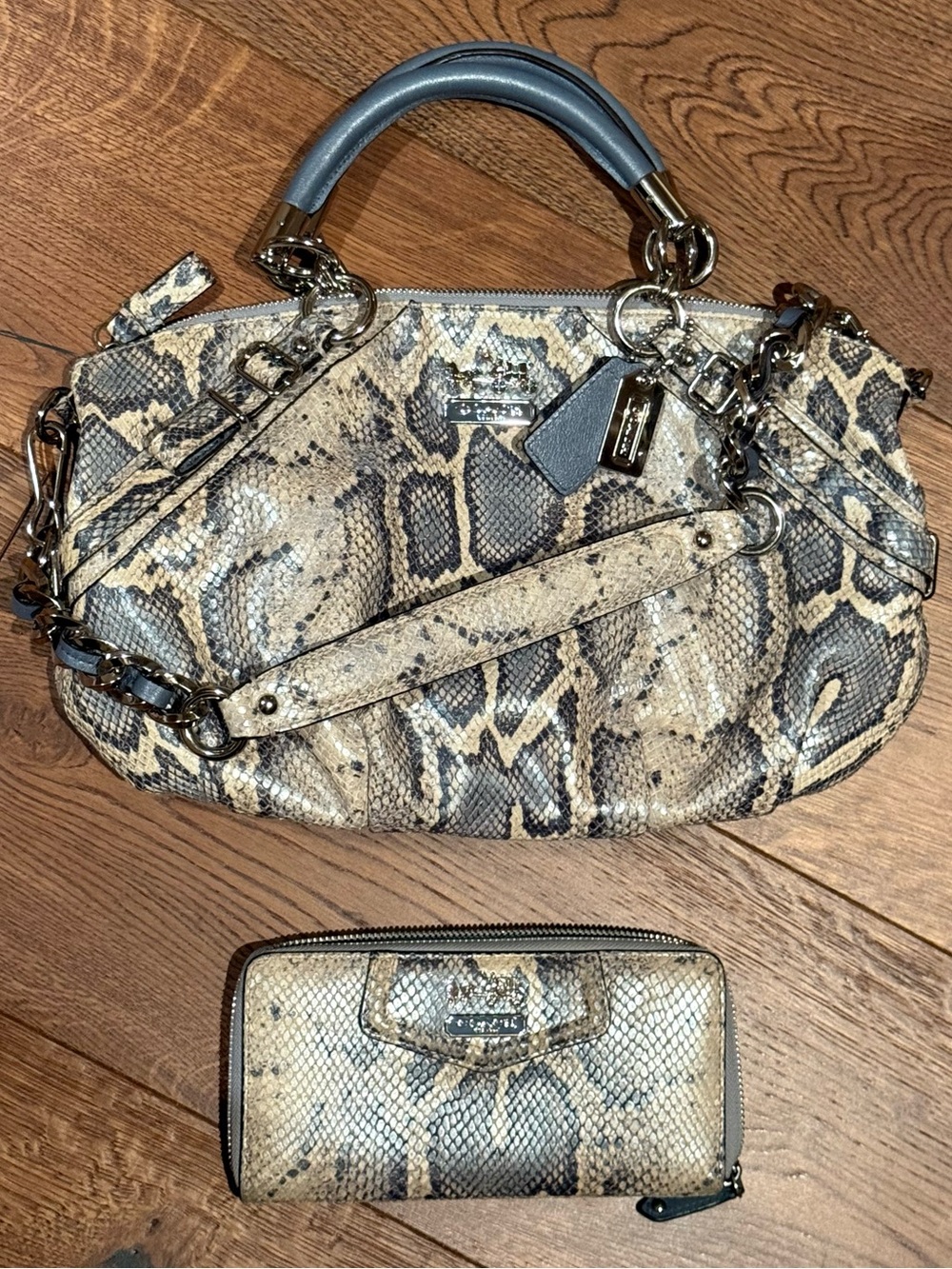 Coach Hobo Python Bag & Wallet - Limited Edition Sophia Satchel and Zip Wallet
